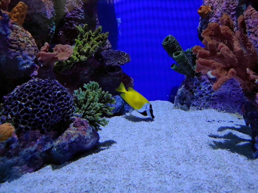 Funtastic Aquarium İzmir