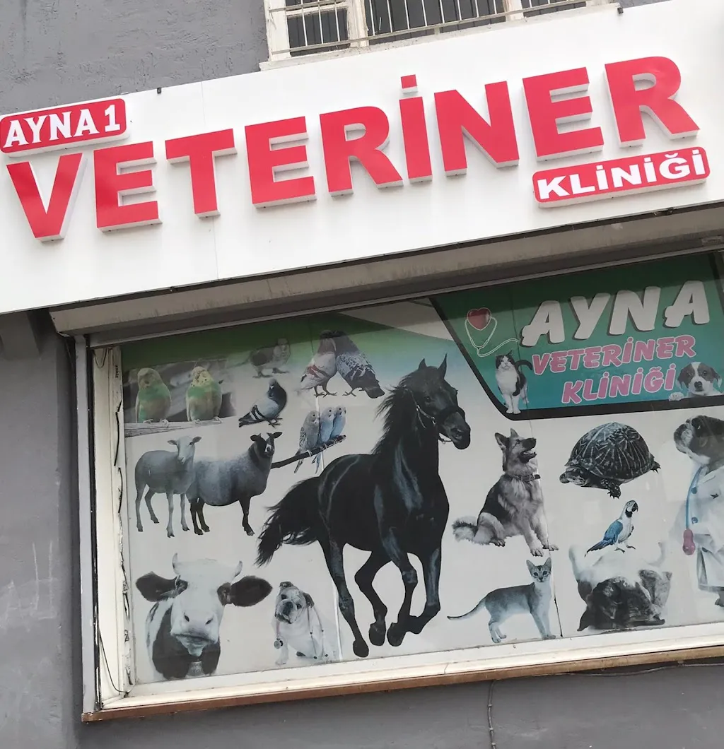 Ayna 1 Veteriner Kliniği