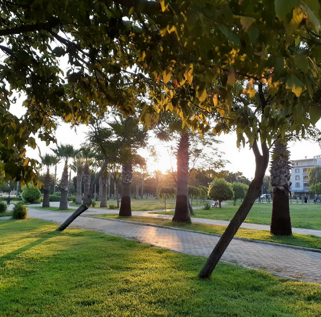 Güney Yıldızı Parkı