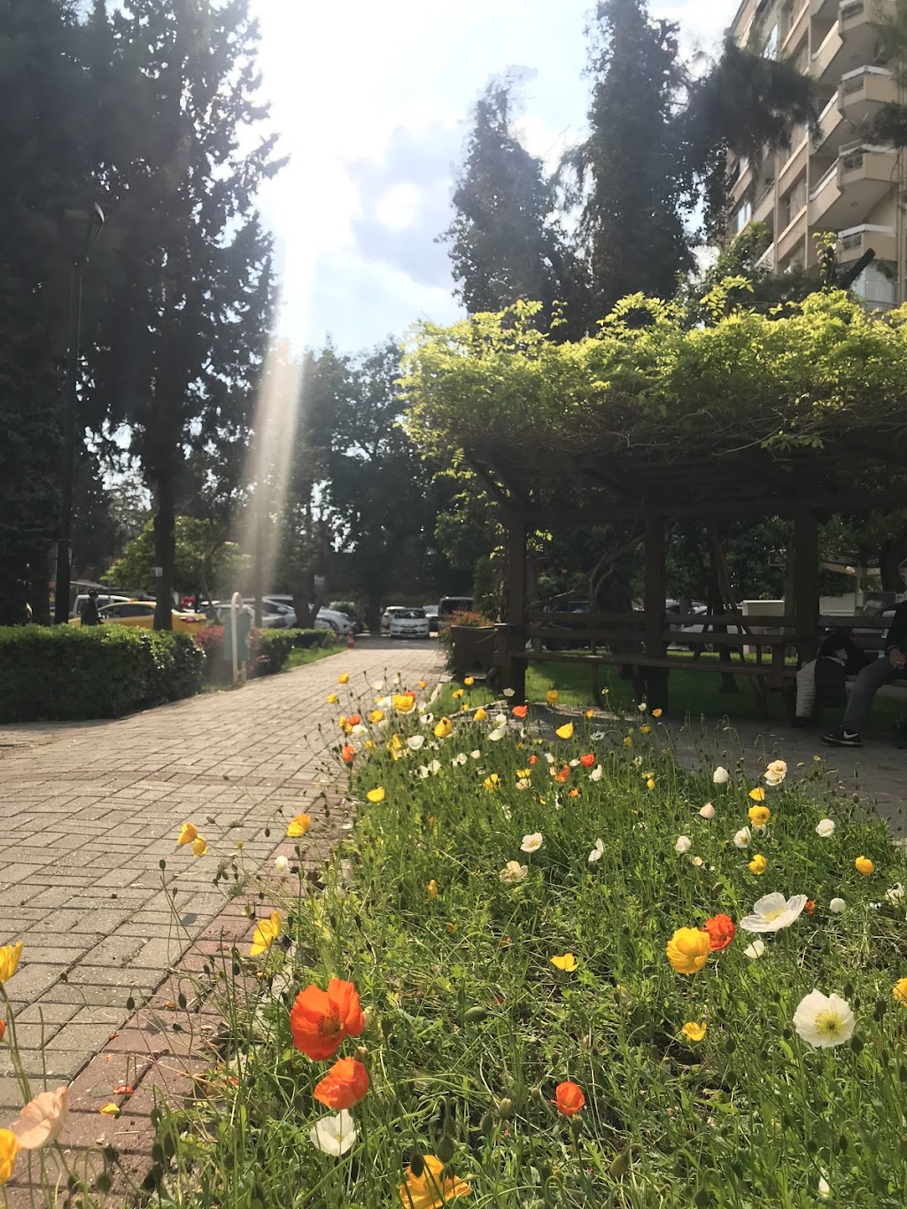 Karacaoğlan Parkı Adana