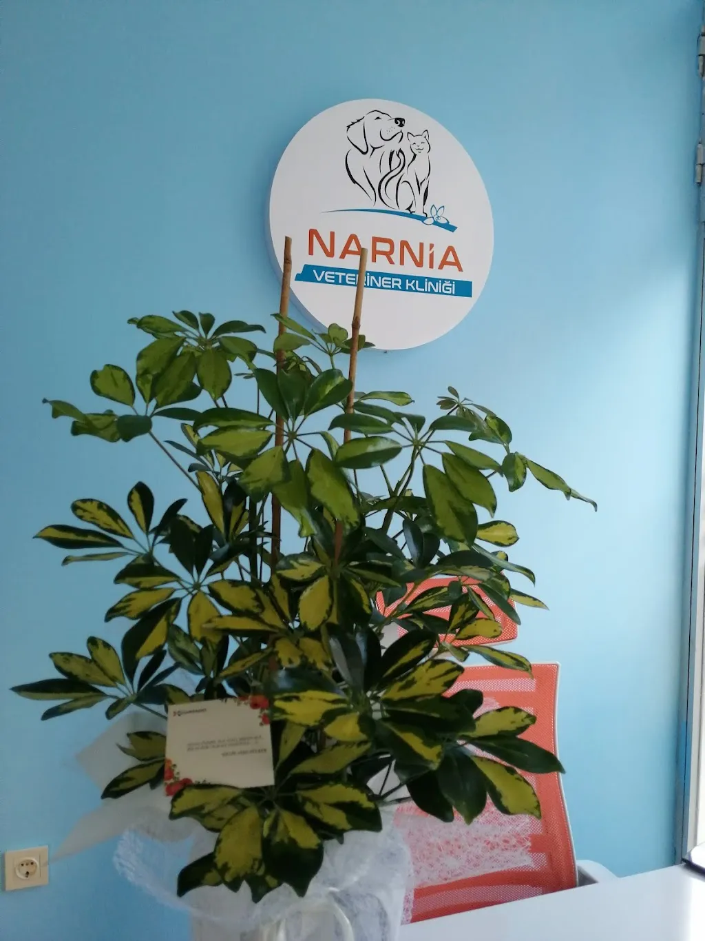 Narnia Veteriner Kliniği