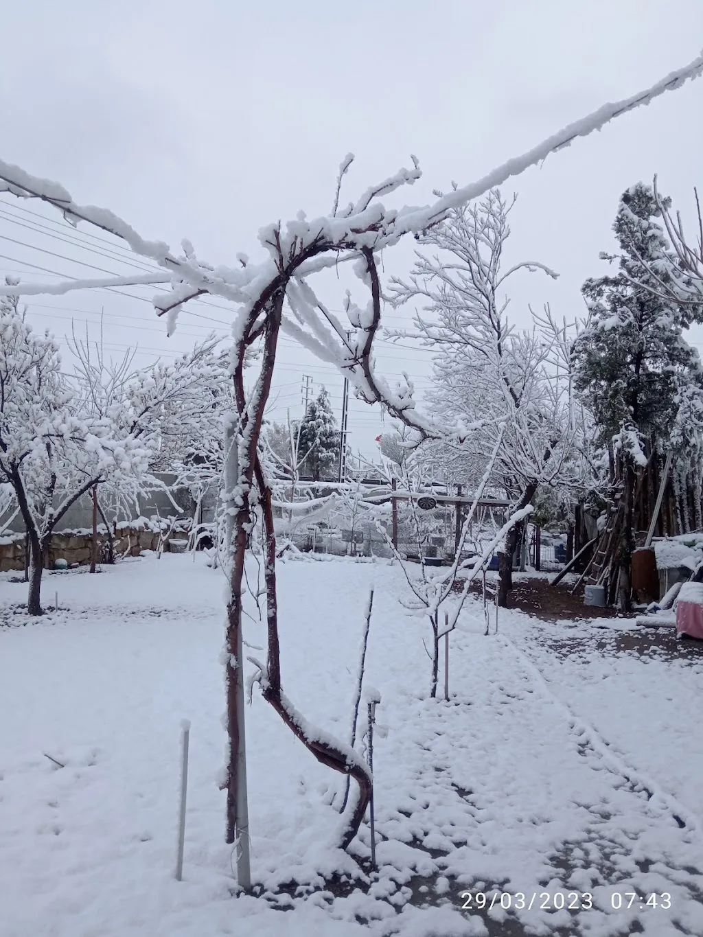 Akçın Köyü Mezarlığı