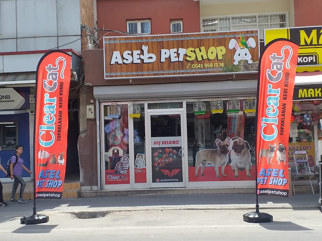 ASEL PETSHOP