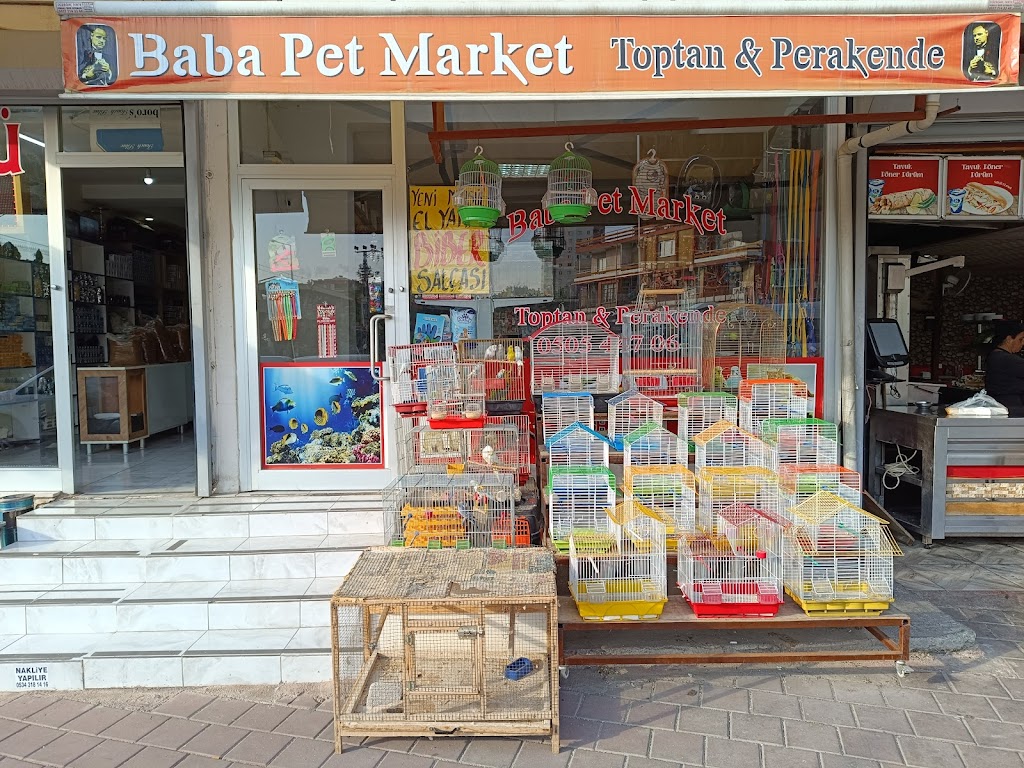 Baba pet market