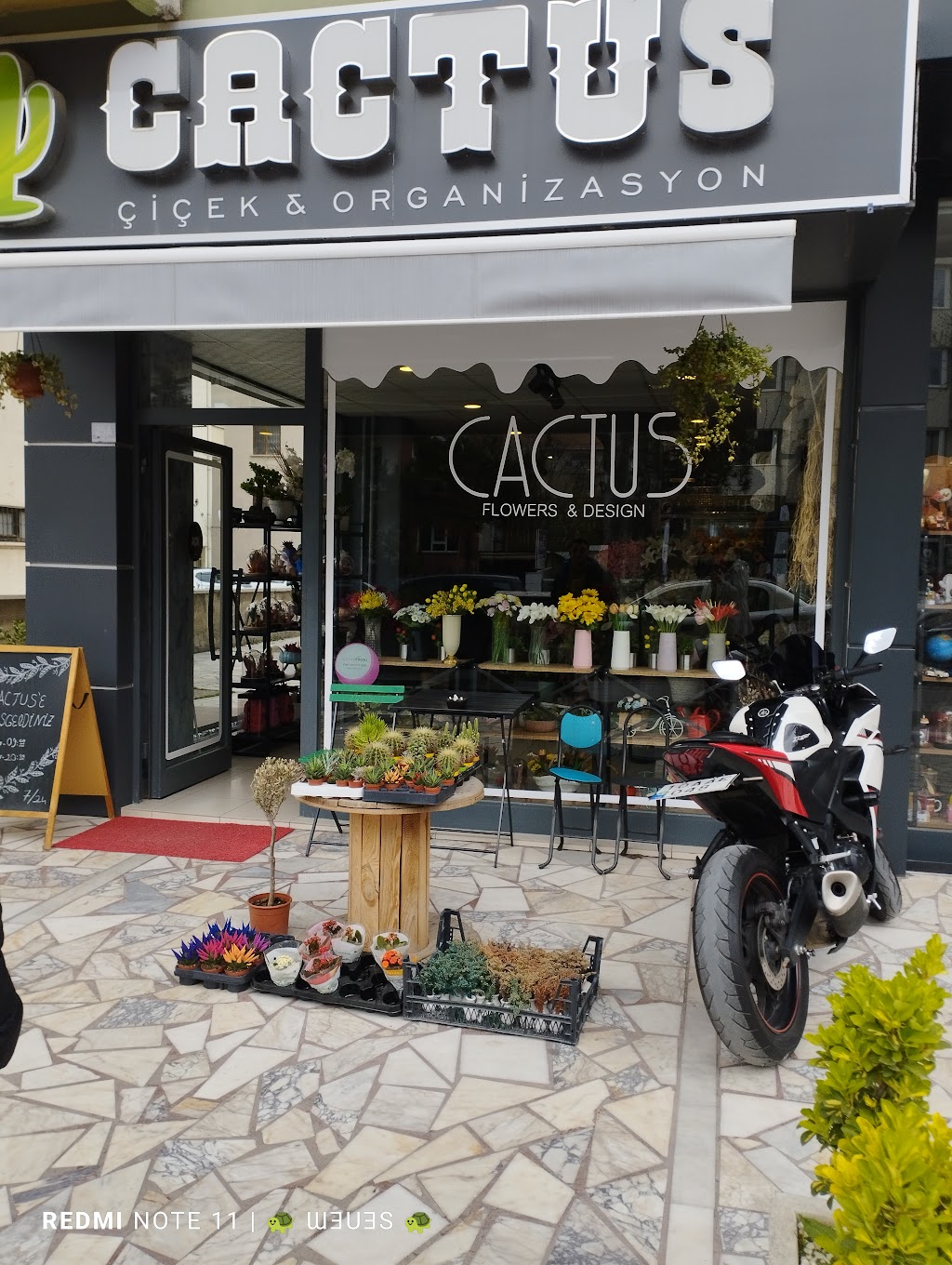 Cactus Çiçek & Organizasyon