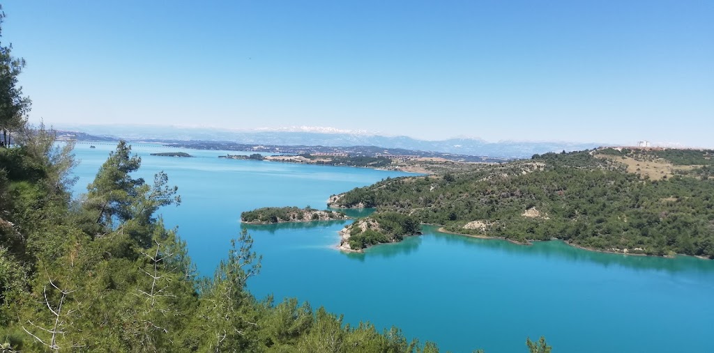 Çukurova Üniversitesi Fen-Edebiyat Fakültesi