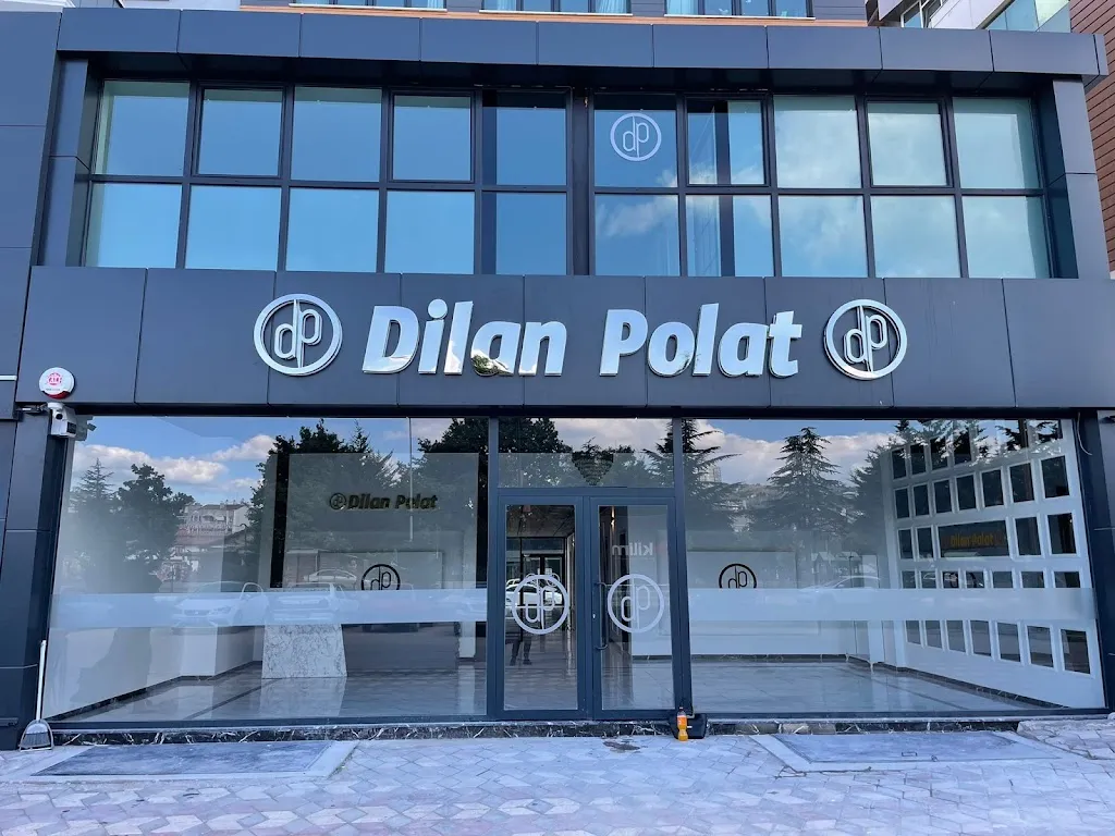 Dilan Polat Tokat