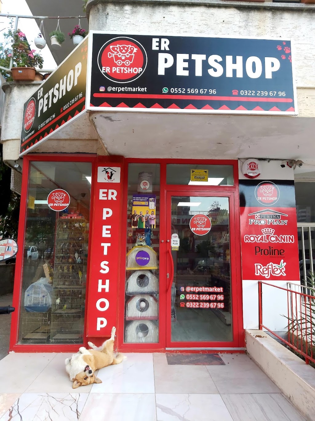 ER PETSHOP