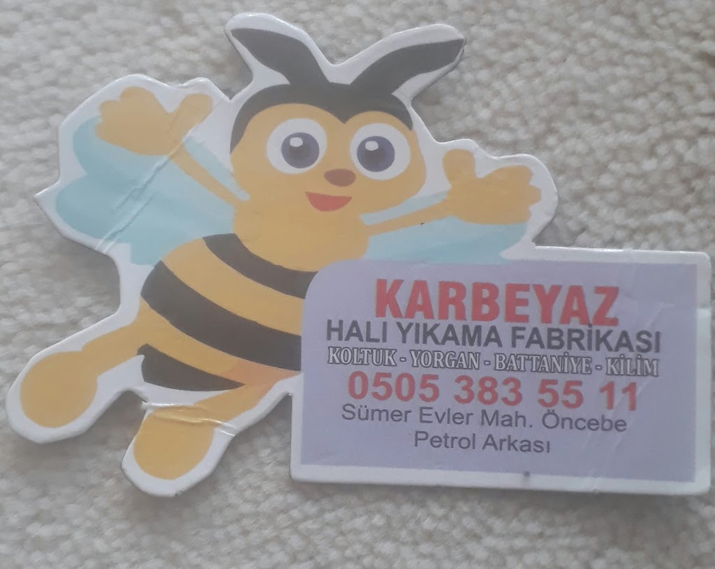 Kar Beyaz Hali Ve Yorgan Yikama Merkezi