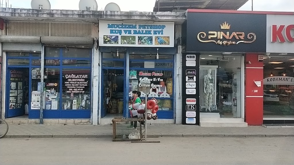 Mucizem Petshop