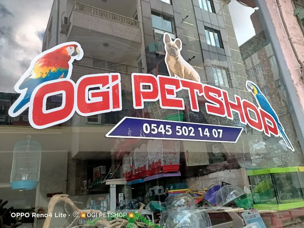 Ogi Petshop & Akvaryum