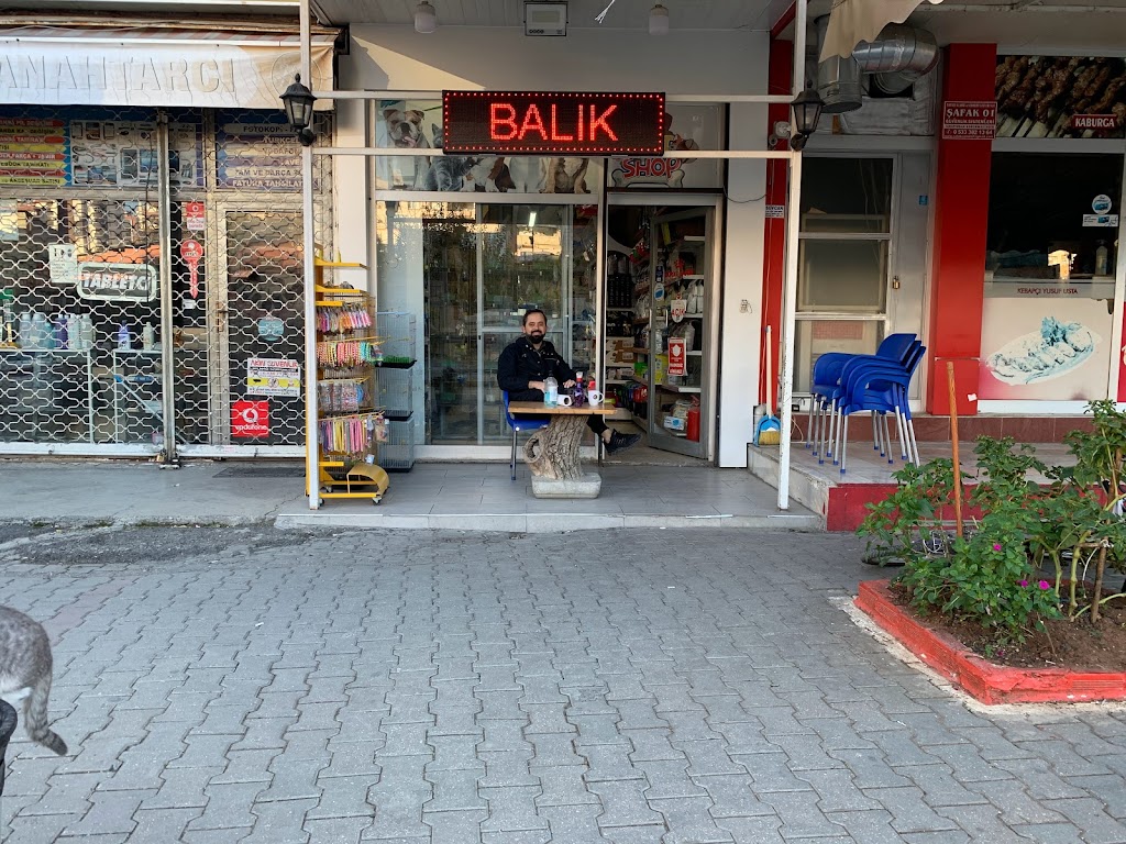 Pınar Petshop