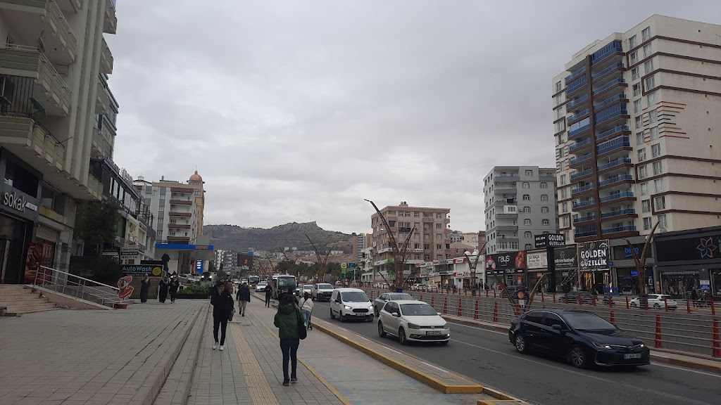 Protez Tırnak Mardin