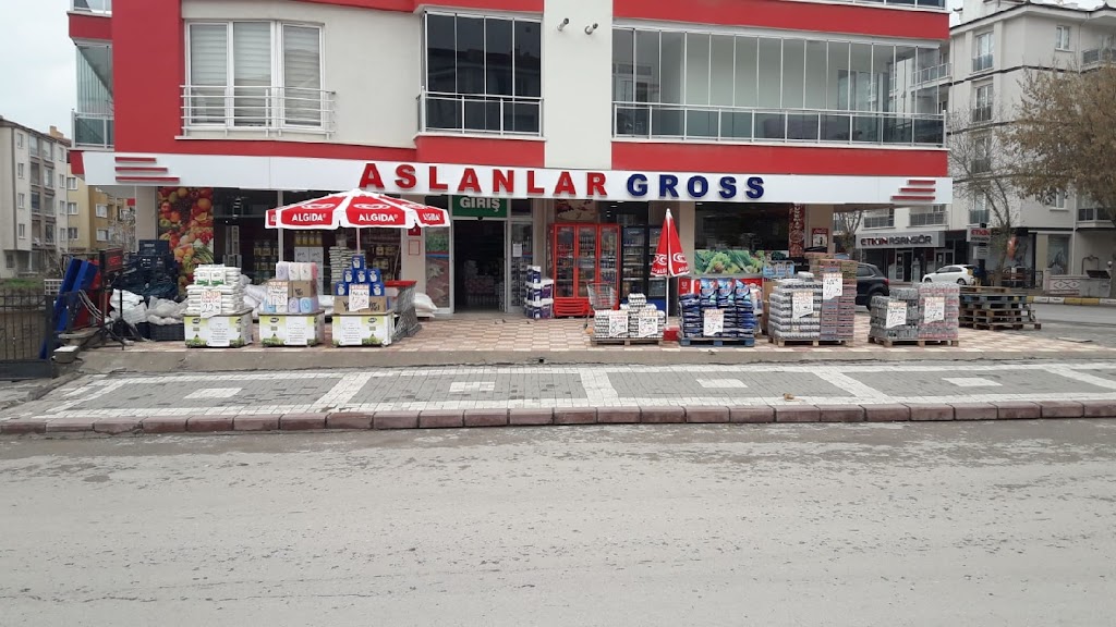 ASLANLAR GROSS