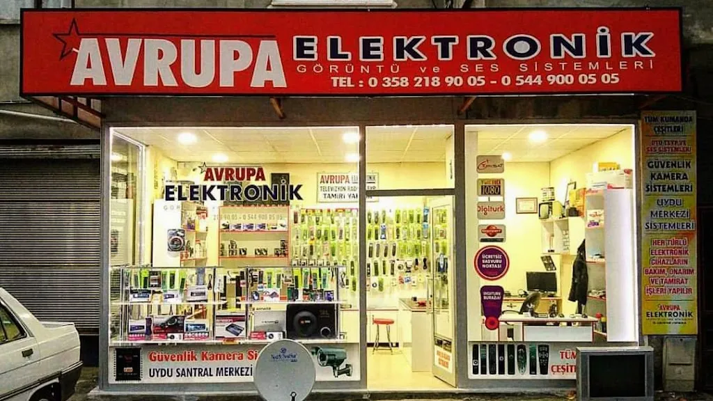 Avrupa Elektronik