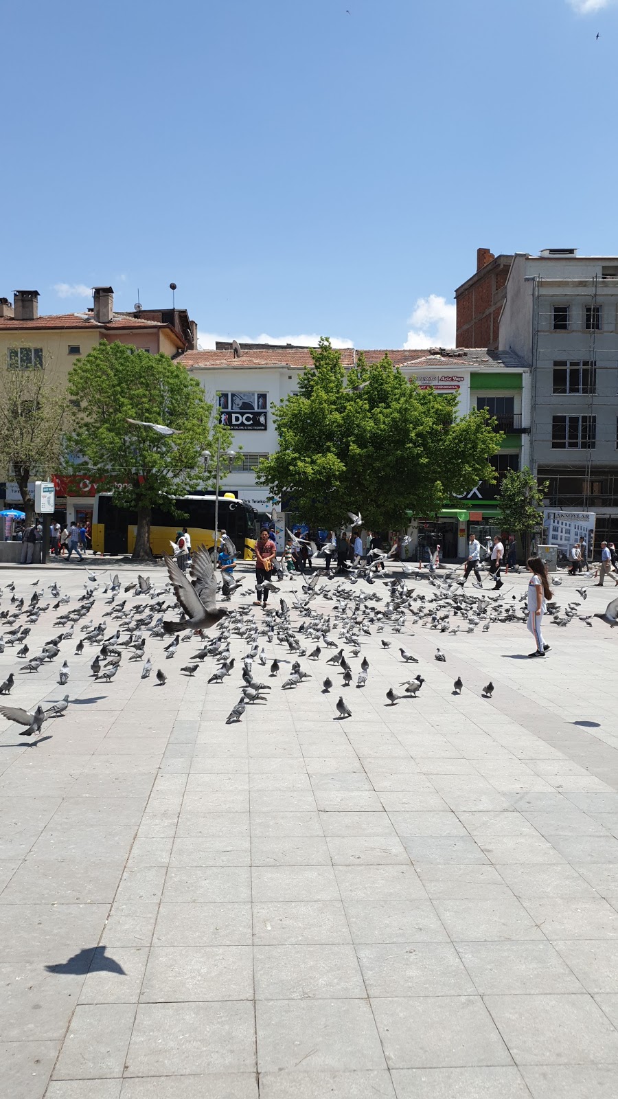 Avukat İlyas Güle