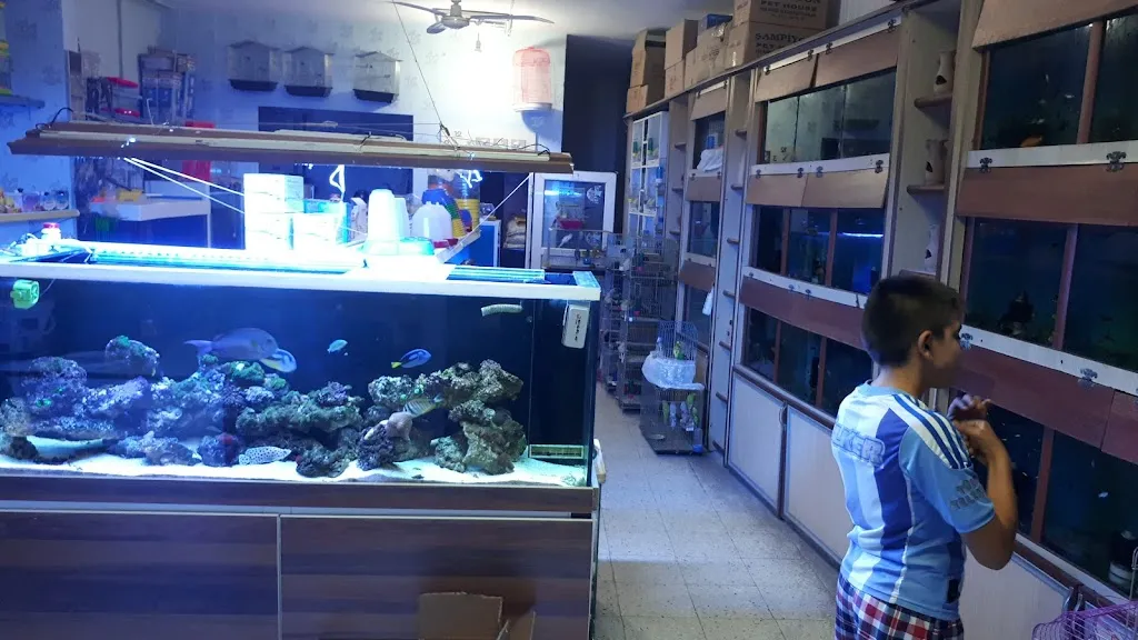 Ekin Pet Shop