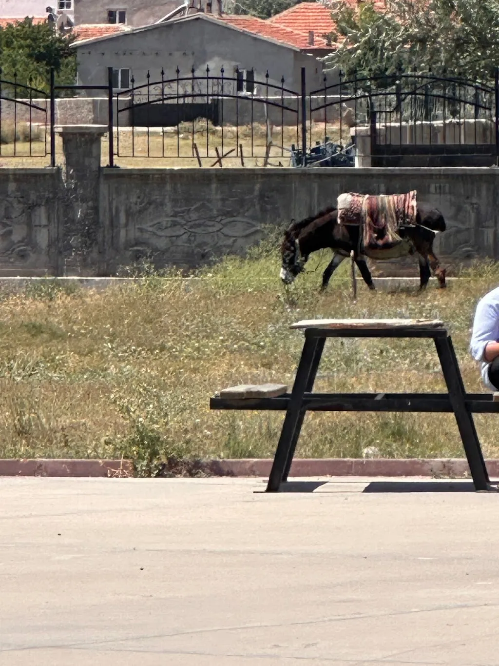 Güzel Sanatlar Lisesi Müdürlüğü