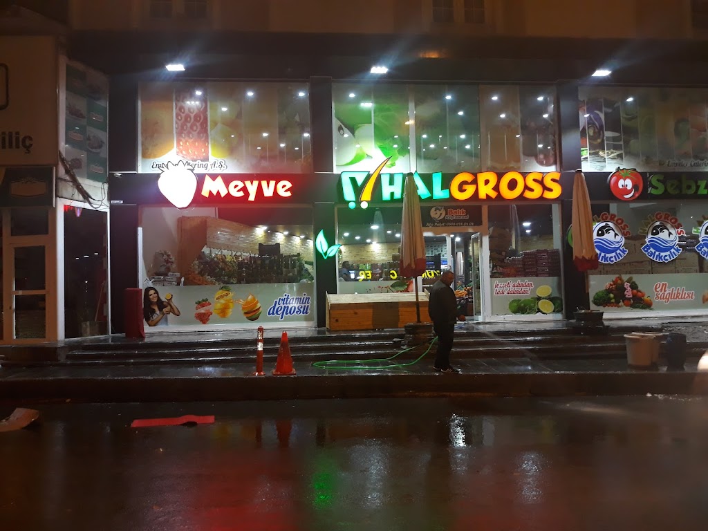 HALGROSS MEYVE SEBZE BALIK RESTAURANT