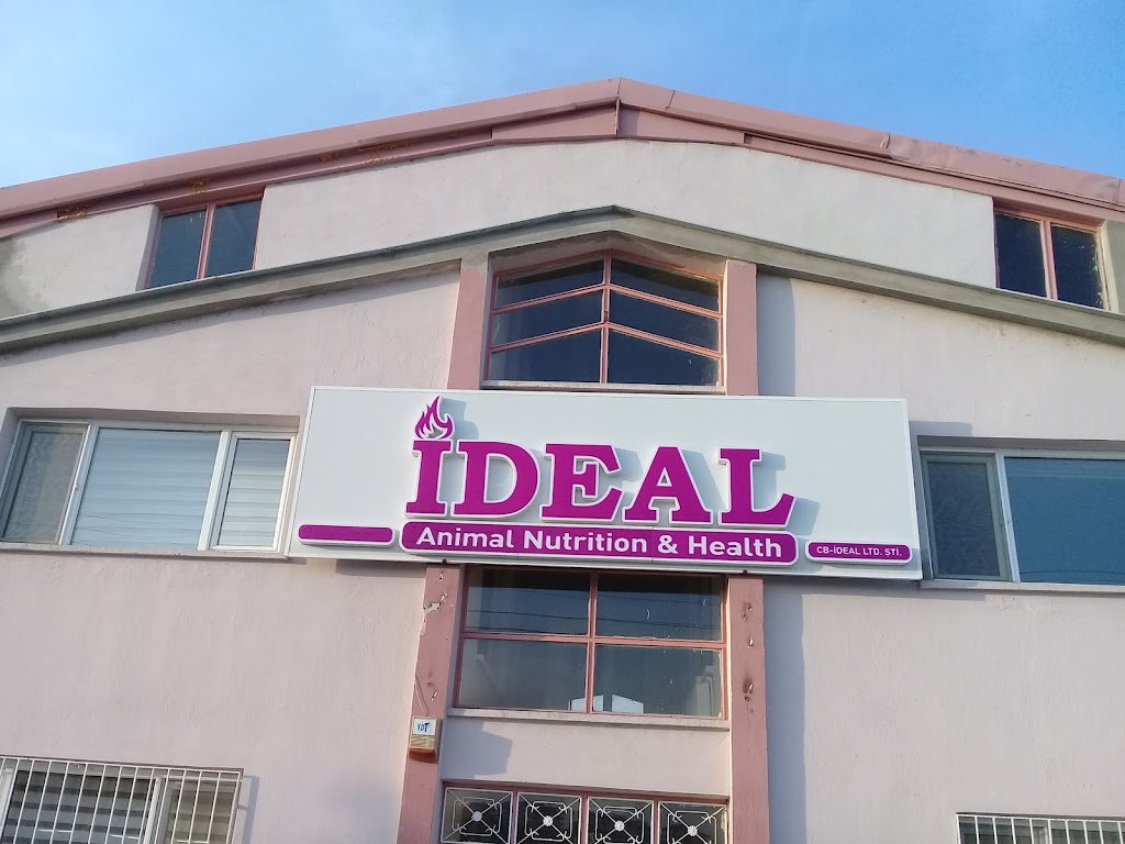 İdeal Veteriner Kliniği