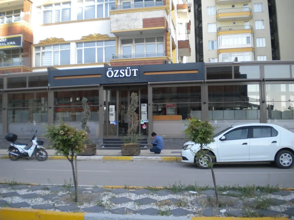 Özsüt