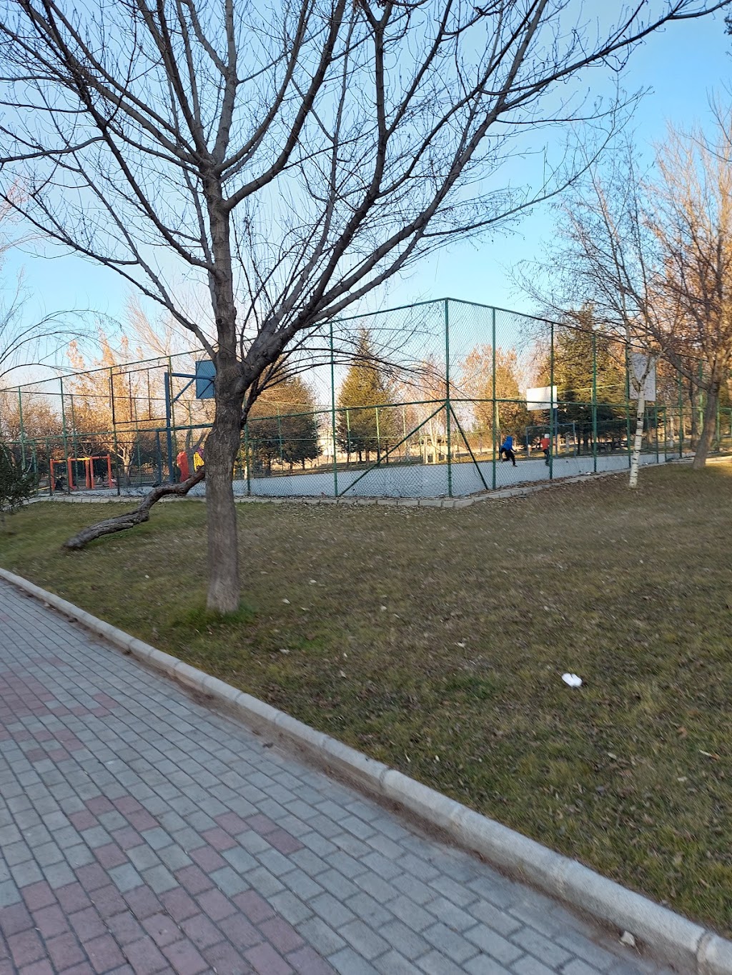 Park