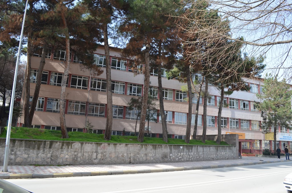 Şehit Gültekin Tırpan Mesleki ve Teknik Anadolu Lisesi