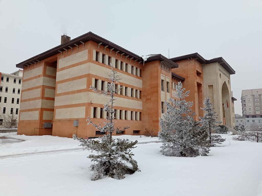 Şemsi Türkmen Anadolu Lisesi