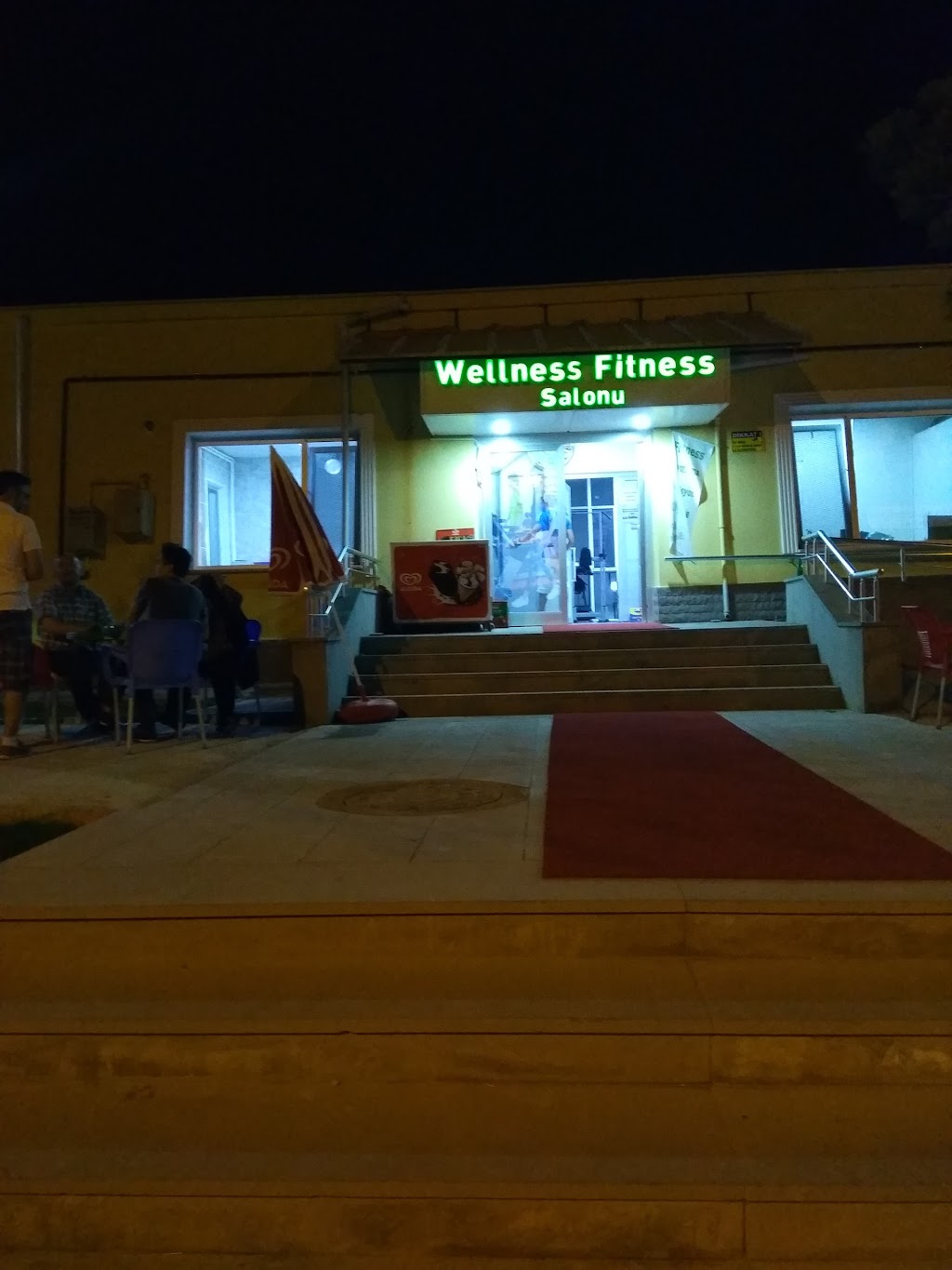 Vellness Fitness