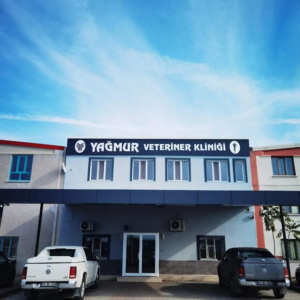 Yağmur Veteriner Kliniği