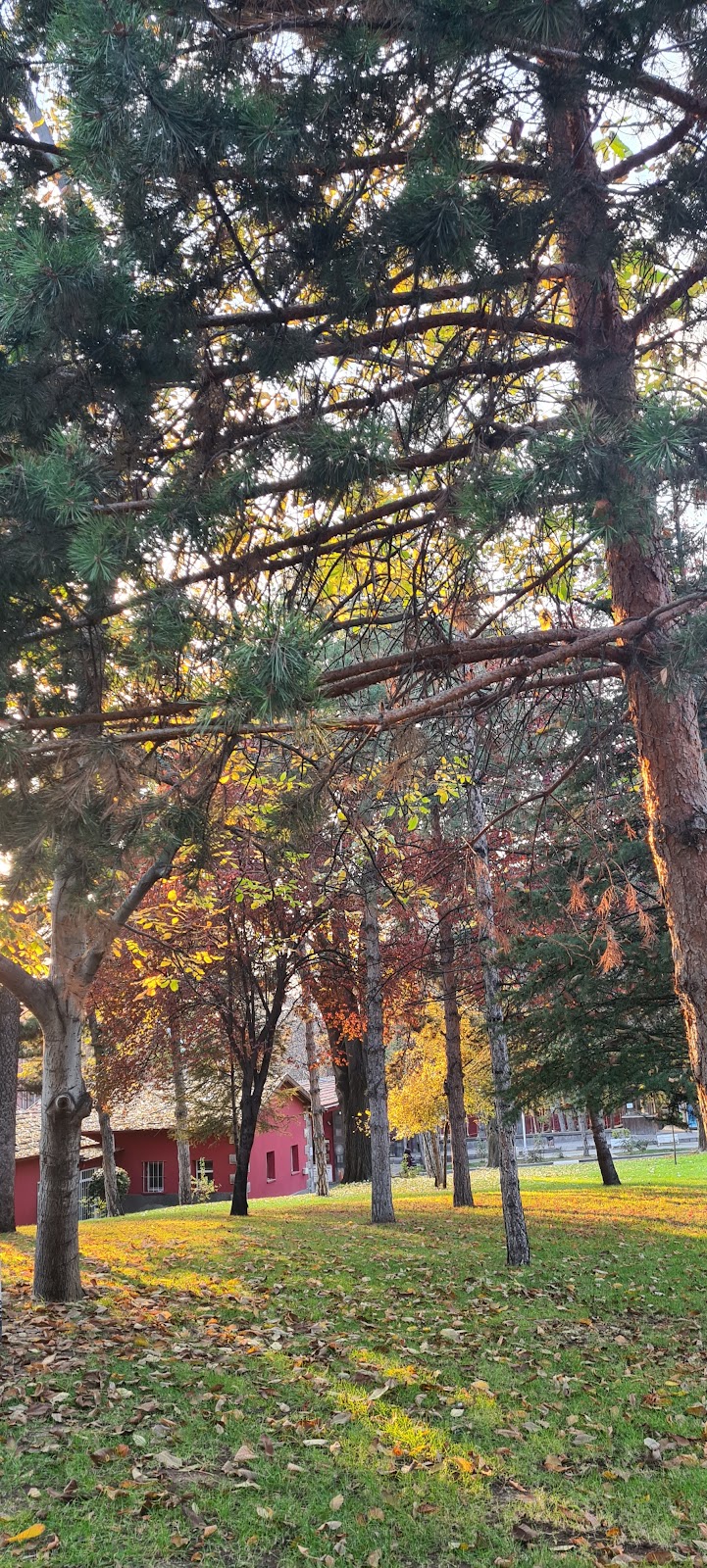 Ankara Universitesi Tıp Fakültesi Cebeci Çocuk Hastanesi