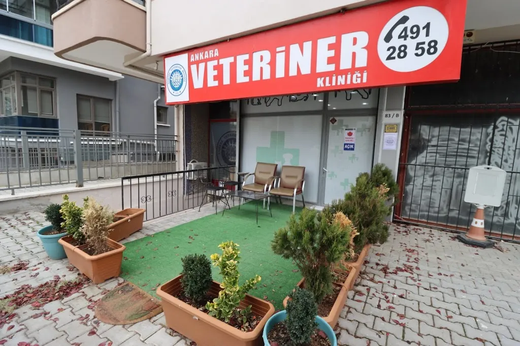 Ankara Veteriner Kliniği