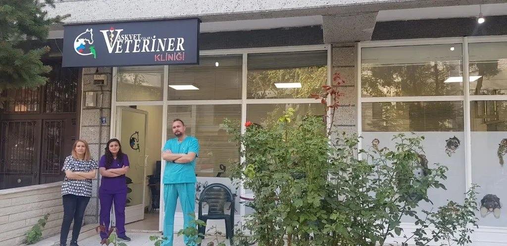 Askvet Ankara Veteriner Kliniği