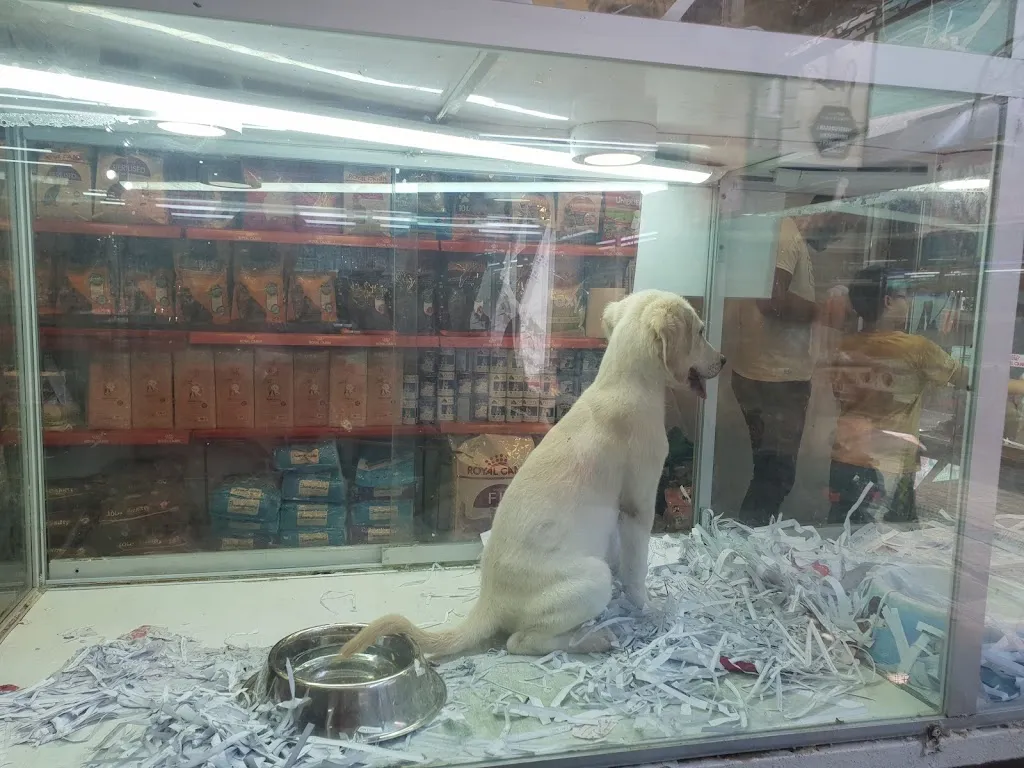 çıkla petshop