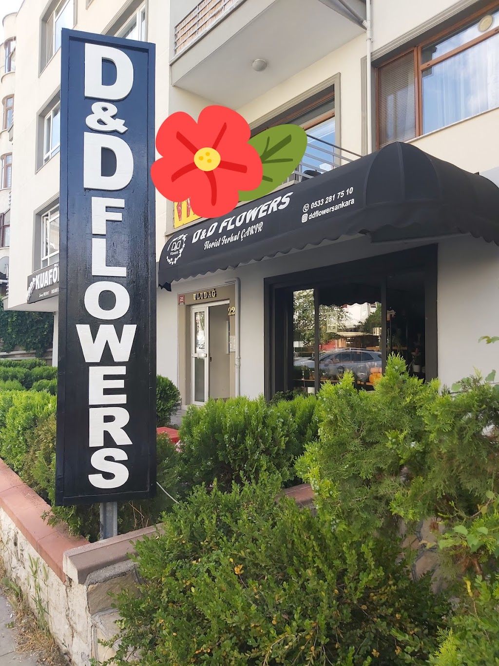 DDflowers & Event (Florist Ferhat Çakır)