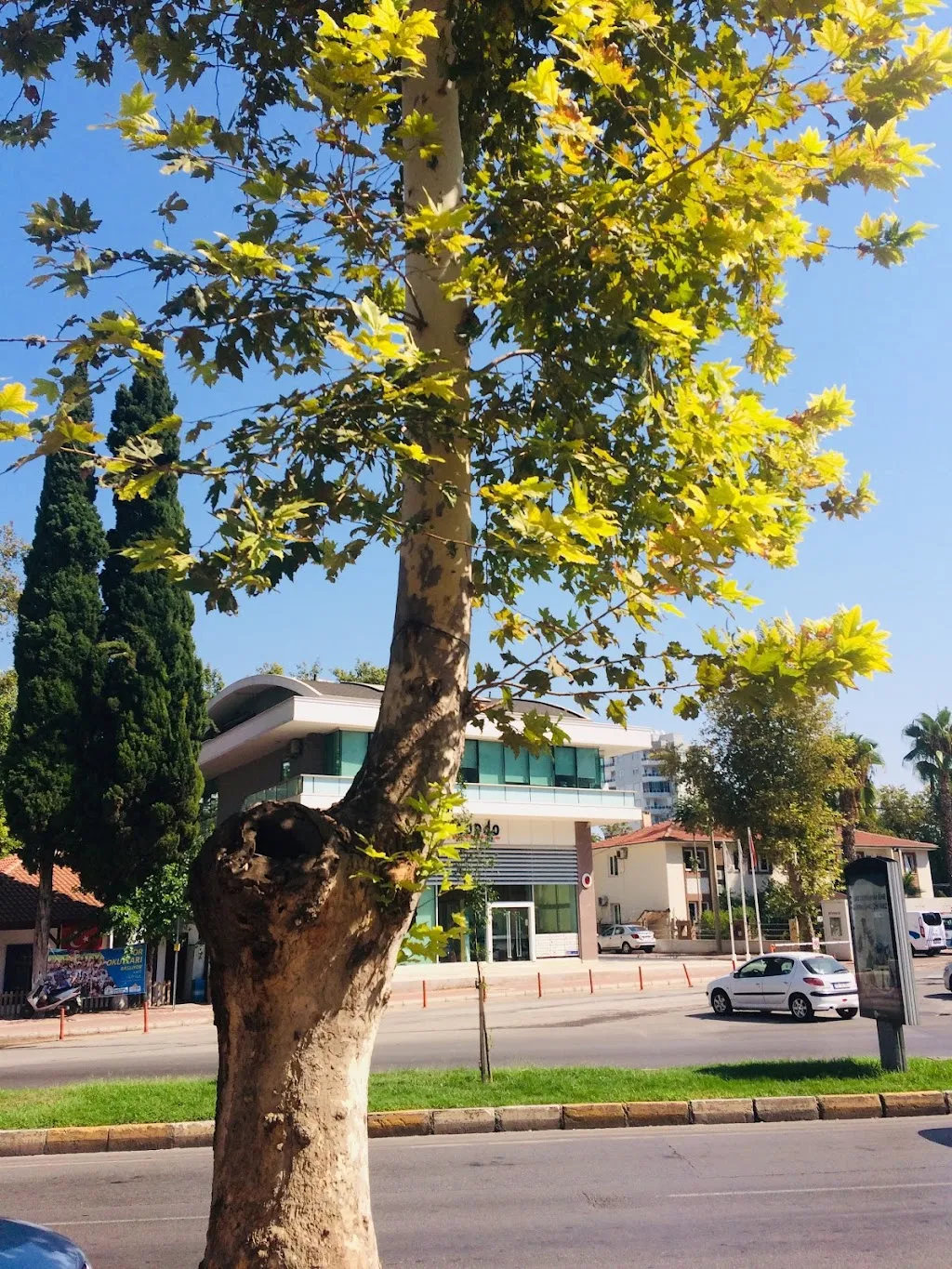 Demircikara Polis Merkezi Amirliği