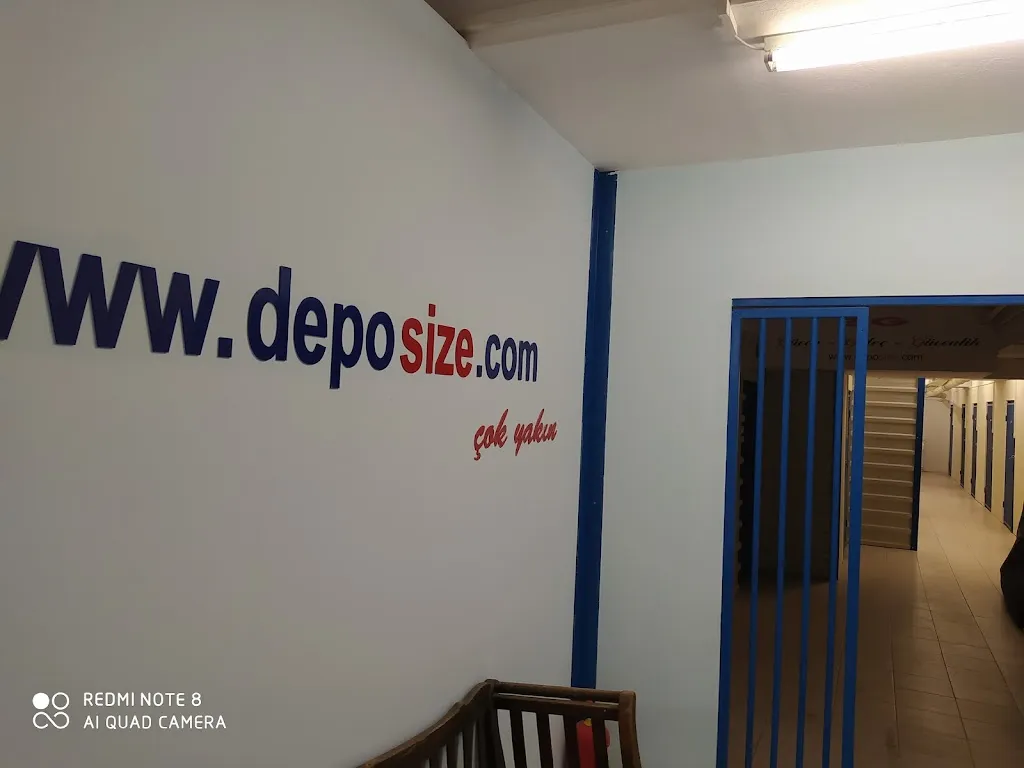 deposize.com