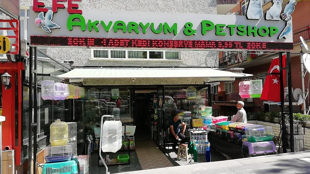 Efe Akvaryum Petshop