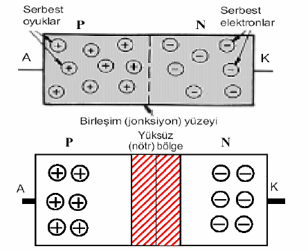 Elektronik Devrelerin Vazgeçilmez Bileşeni “Diyotlar”