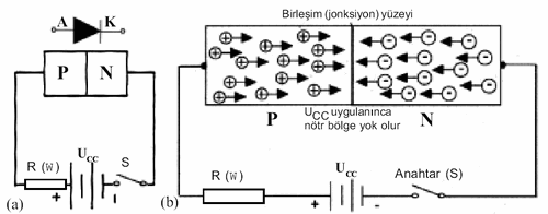 Elektronik Devrelerin Vazgeçilmez Bileşeni “Diyotlar”