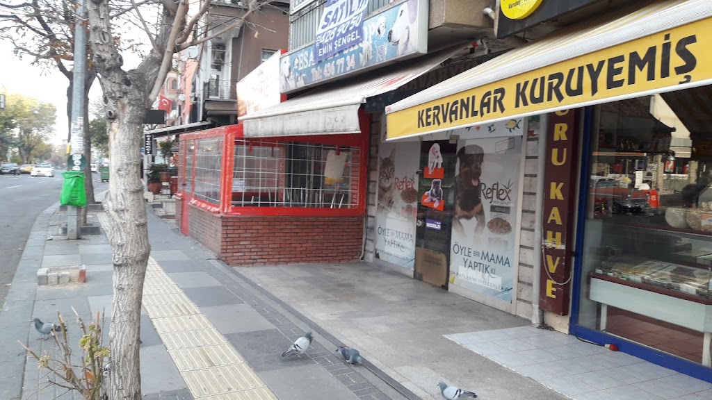 Esat Akvaryum Ve Pet Shop