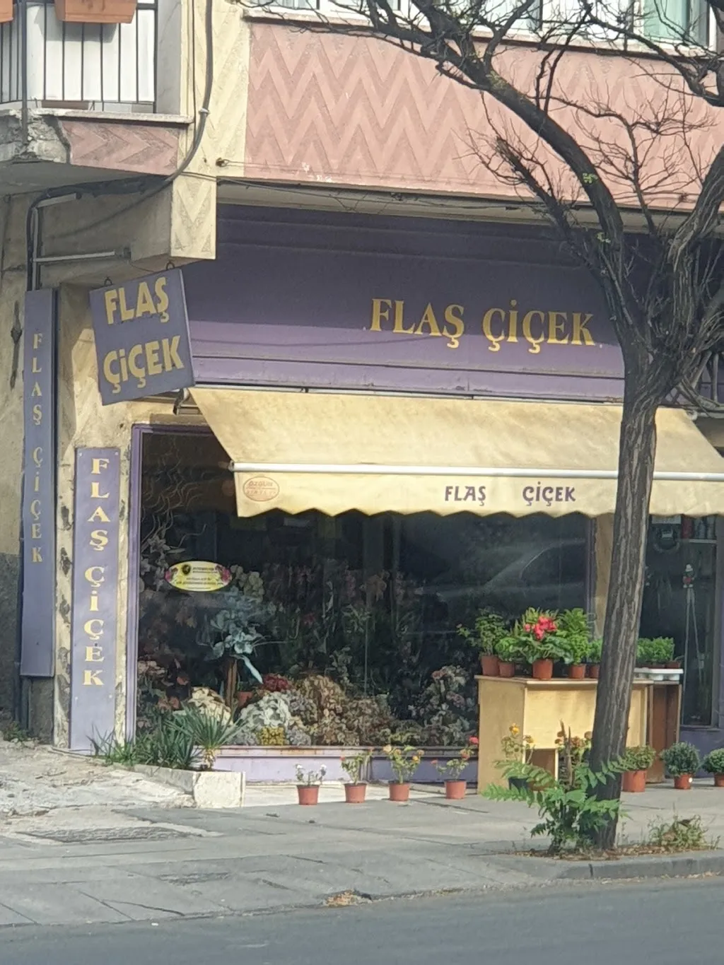 Flaş Çiçek