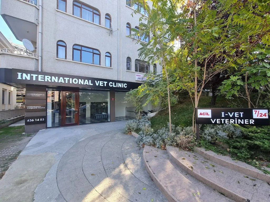 International Vet Clinic