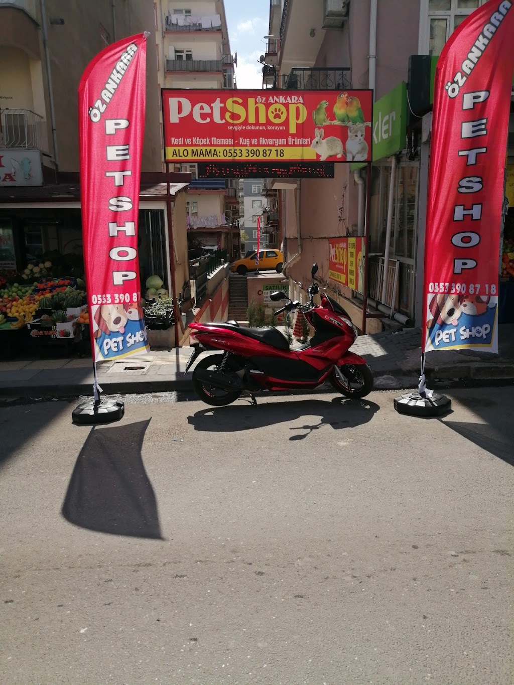 Öz Ankara Petshop