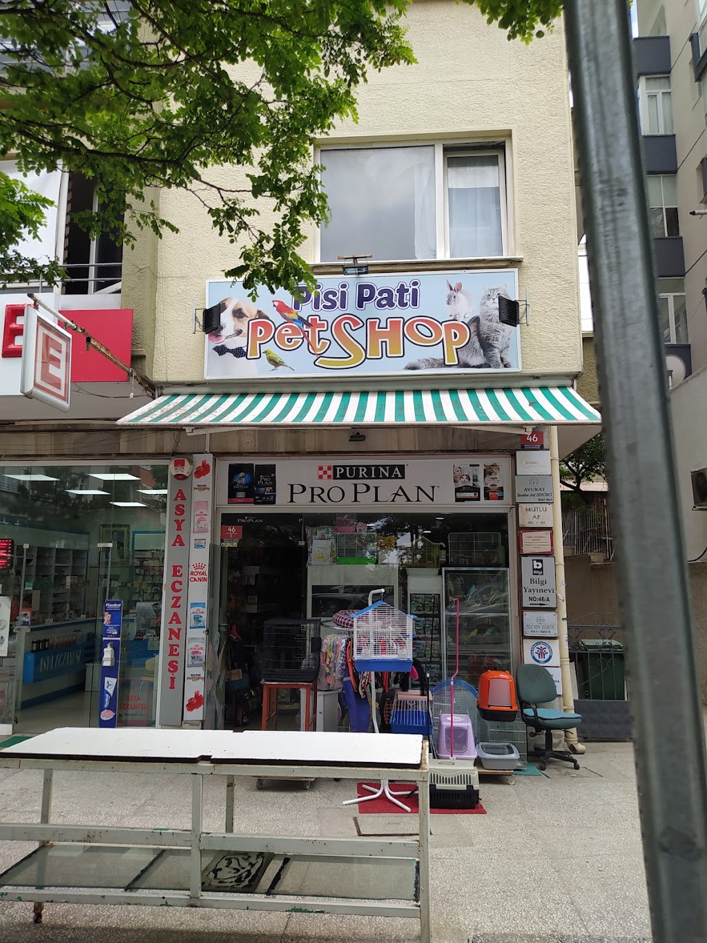 Pisi Pati Petshop