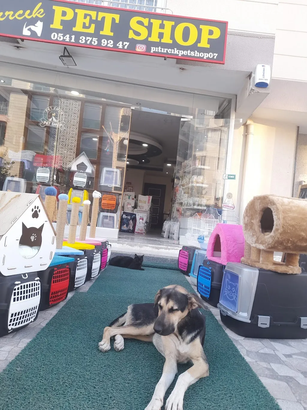 Pıtırcık pet shop