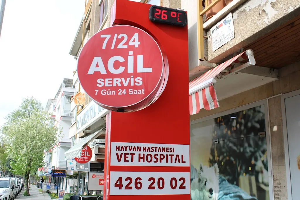 Vet Hospital Hayvan Hastanesi