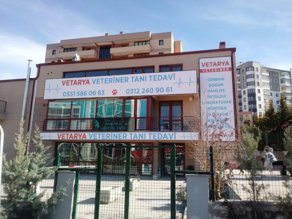 Vetarya Veteriner Tanı ve Tedavi Merkezi