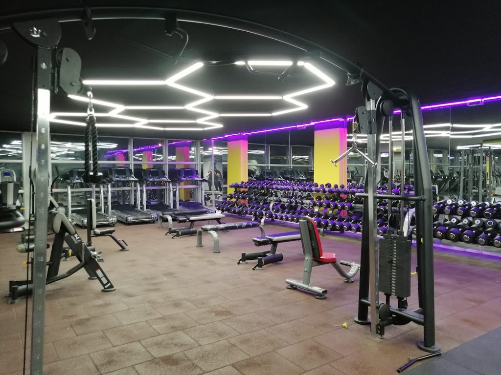 Wolf Gym