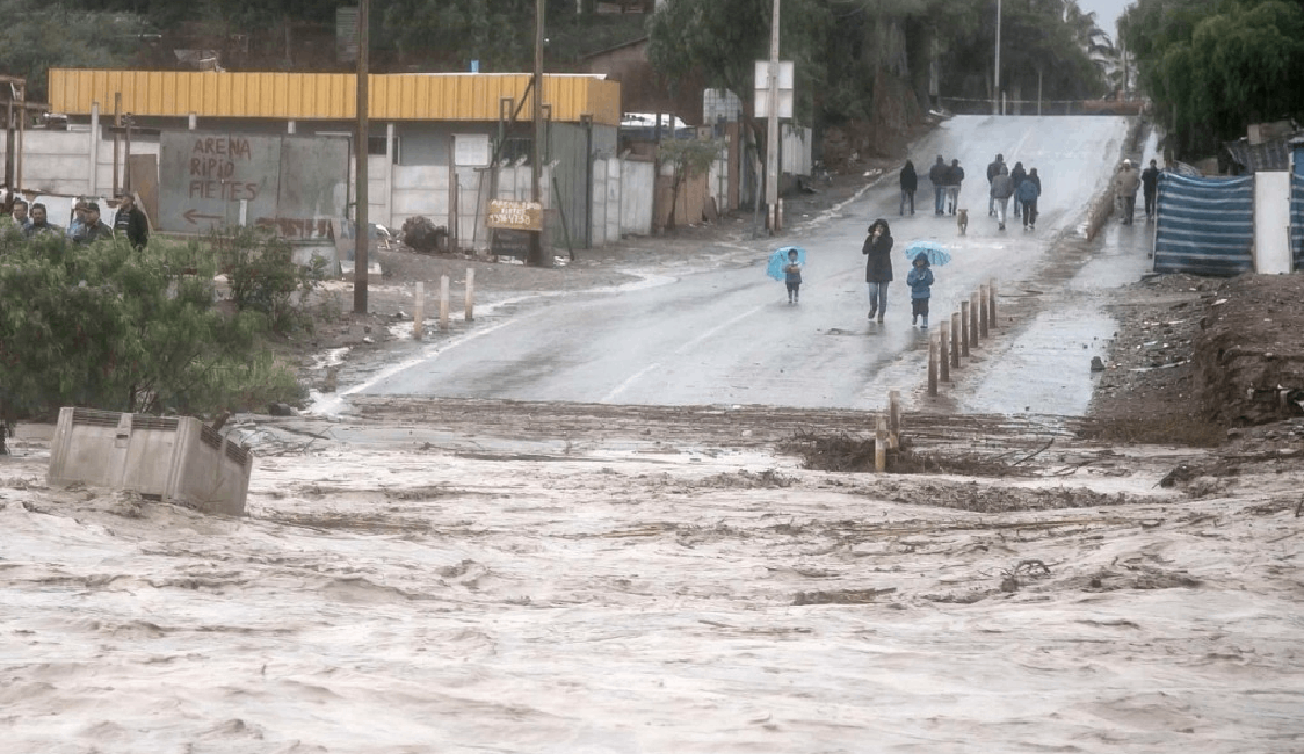 2024’ün İlk Çeyreğinde Doğal Afetler 45 Milyar Dolarlık Kayba Neden Oldu